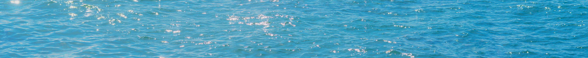 プライバシーポリシー