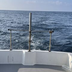 申し込み後の予定概要。